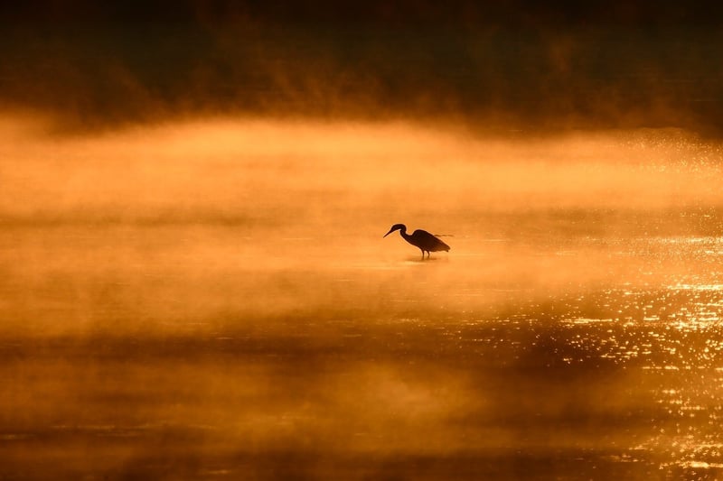 Sunrise Meditation
